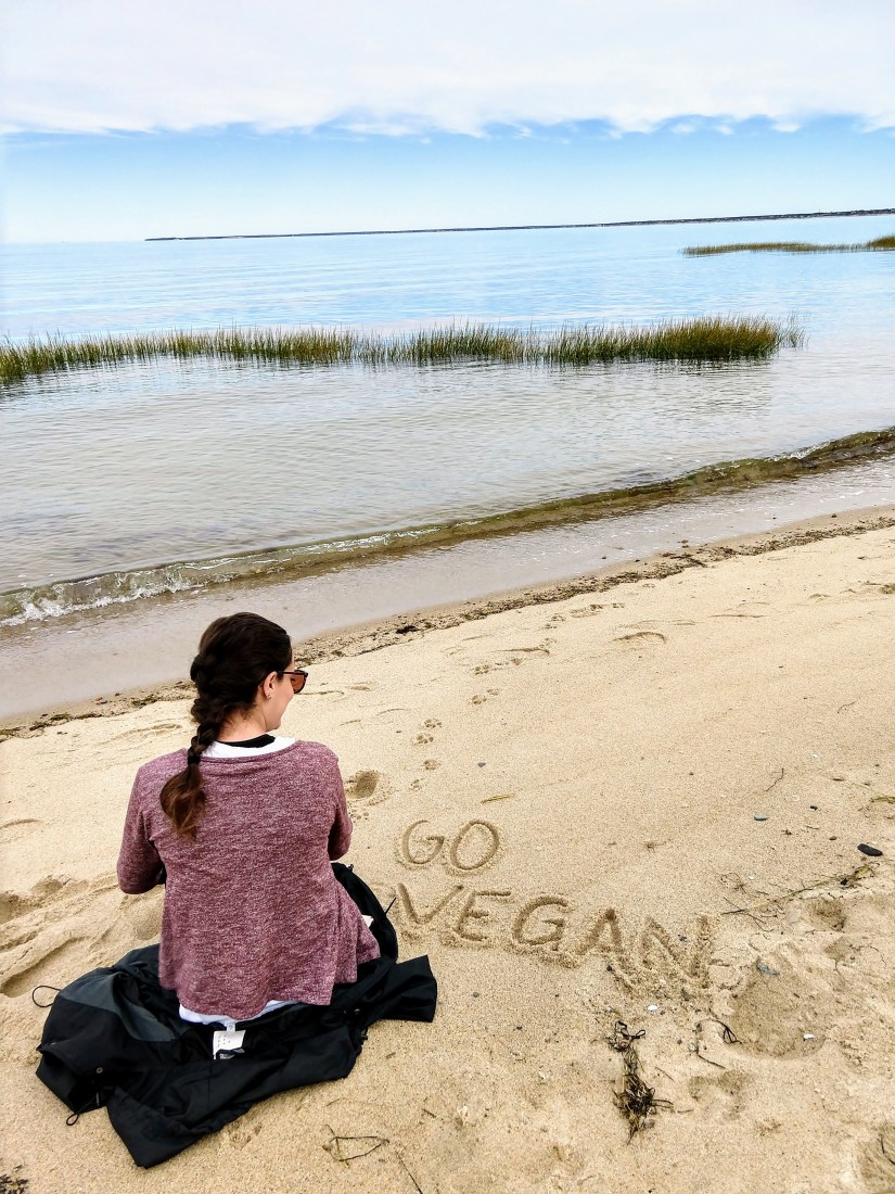 img_20180923_101706701_hdr