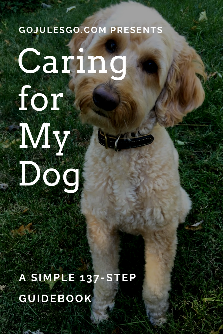 Go-Jules-Go-Caring-for-my-dog-guidebook