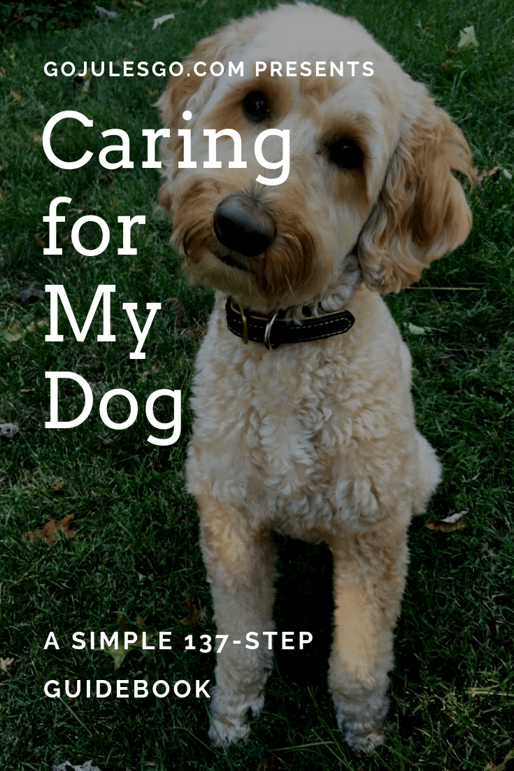Go-Jules-Go-Caring-for-my-dog-guidebook