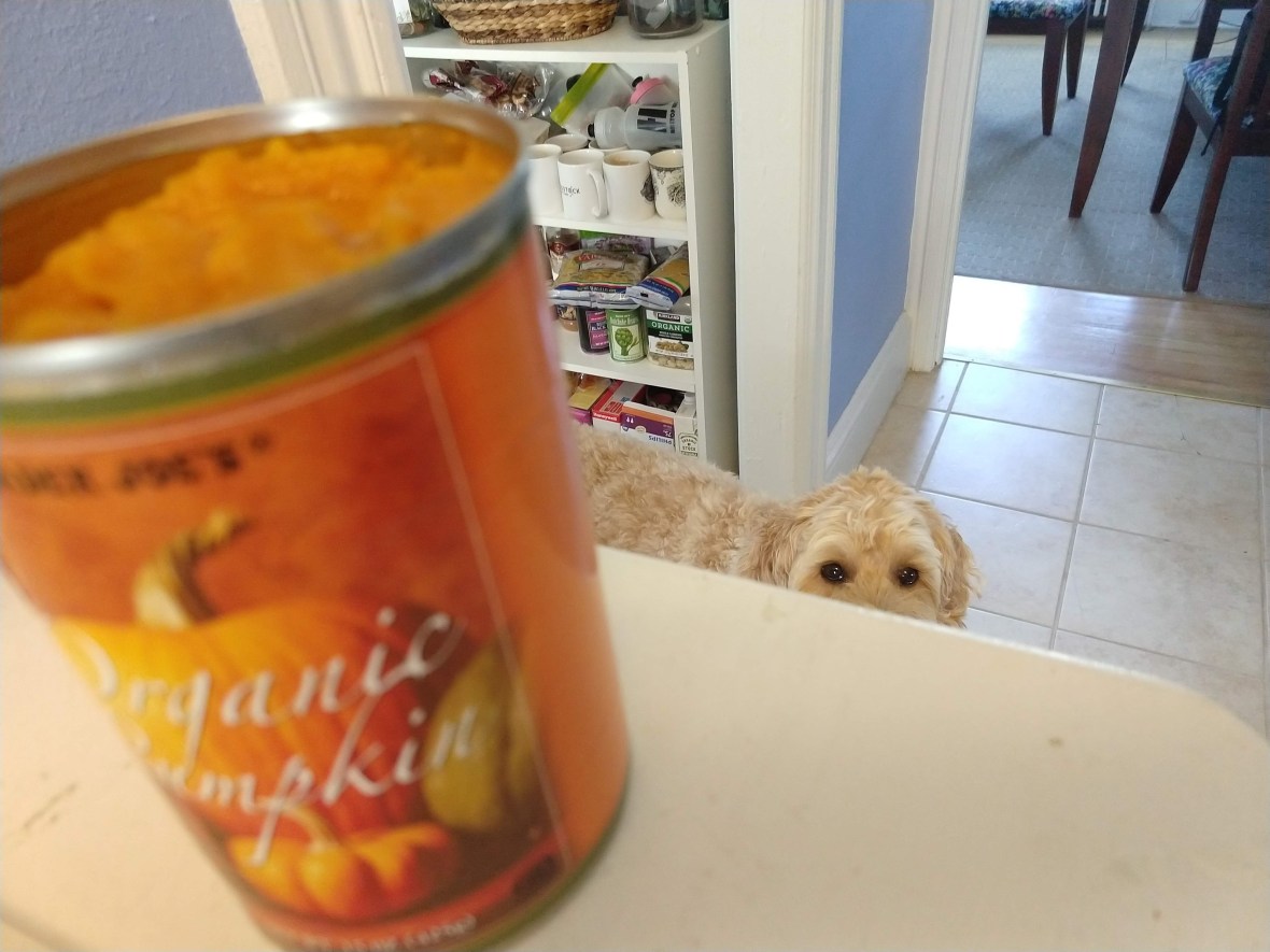 img_20181017_140042630