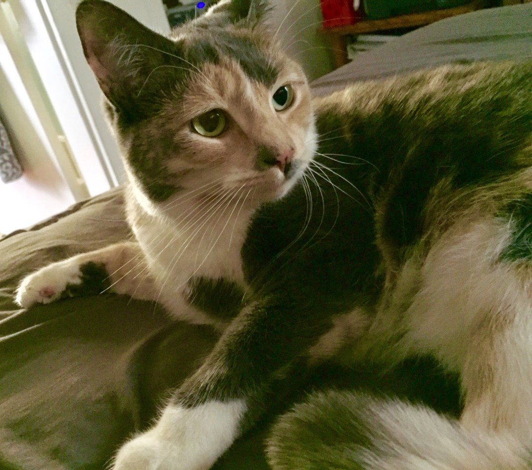 Sophie
