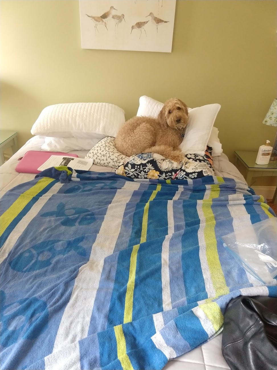 UJ-bed-no-towel-on-pillows