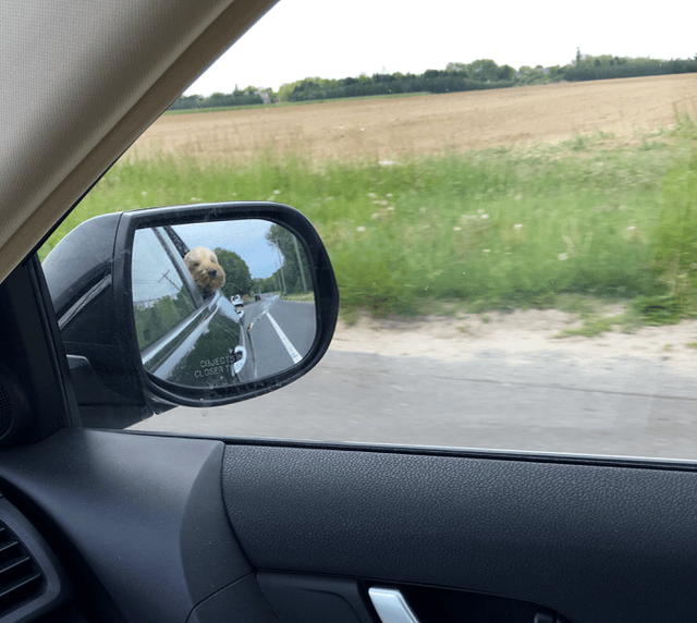 UJ-rearview-mirror