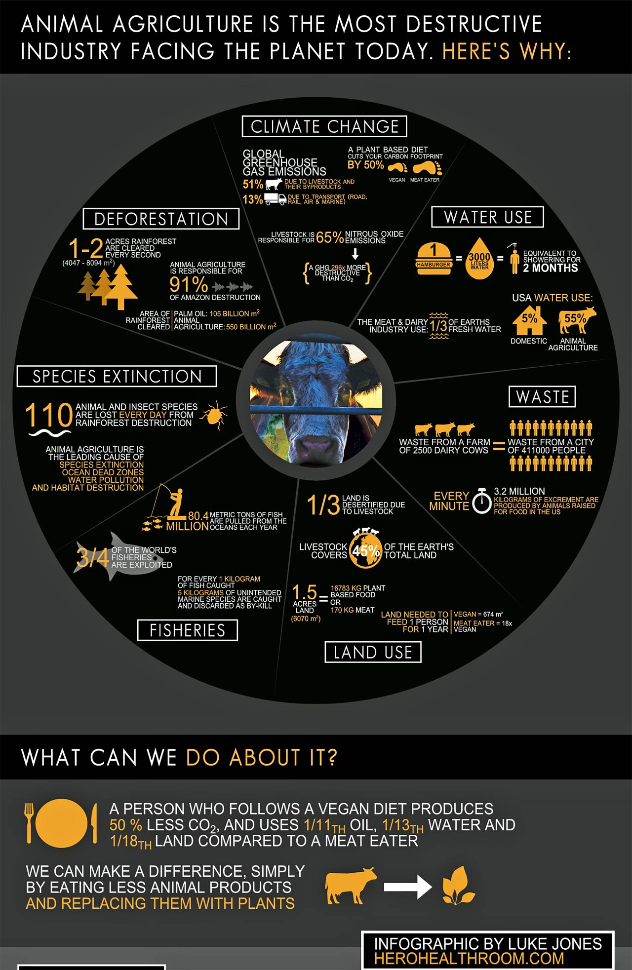 Cowspiracy-infographic