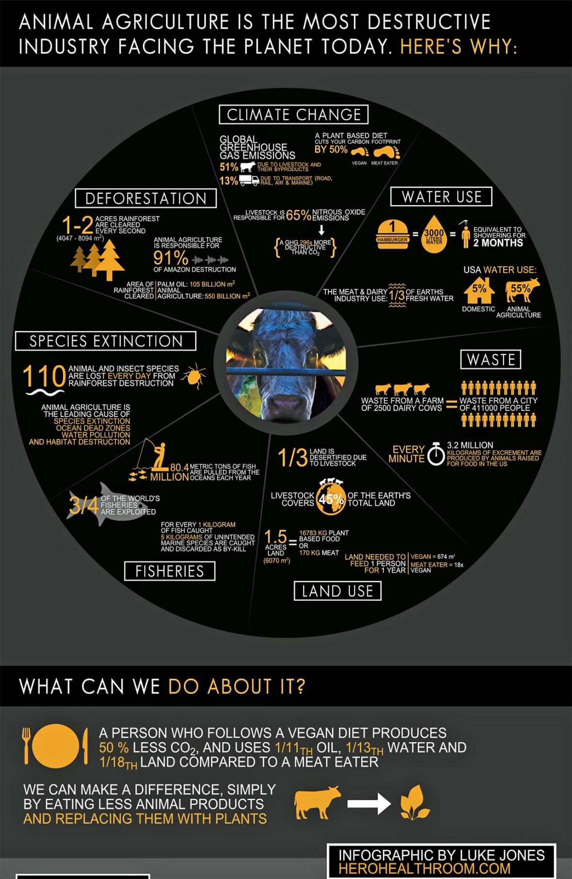 Cowspiracy-infographic