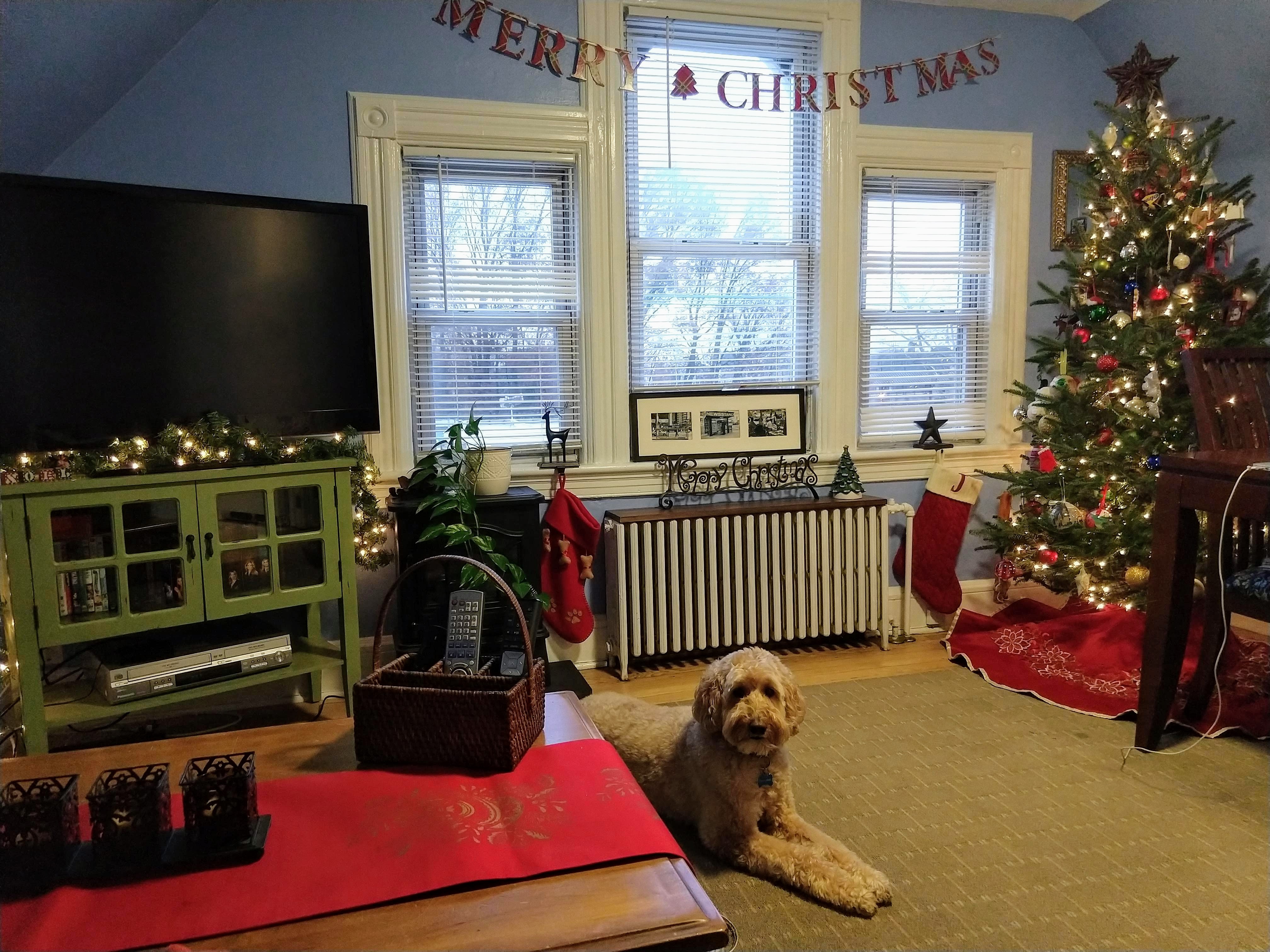 img_20181130_160428837