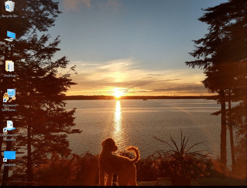 go jules go desktop uncle jesse