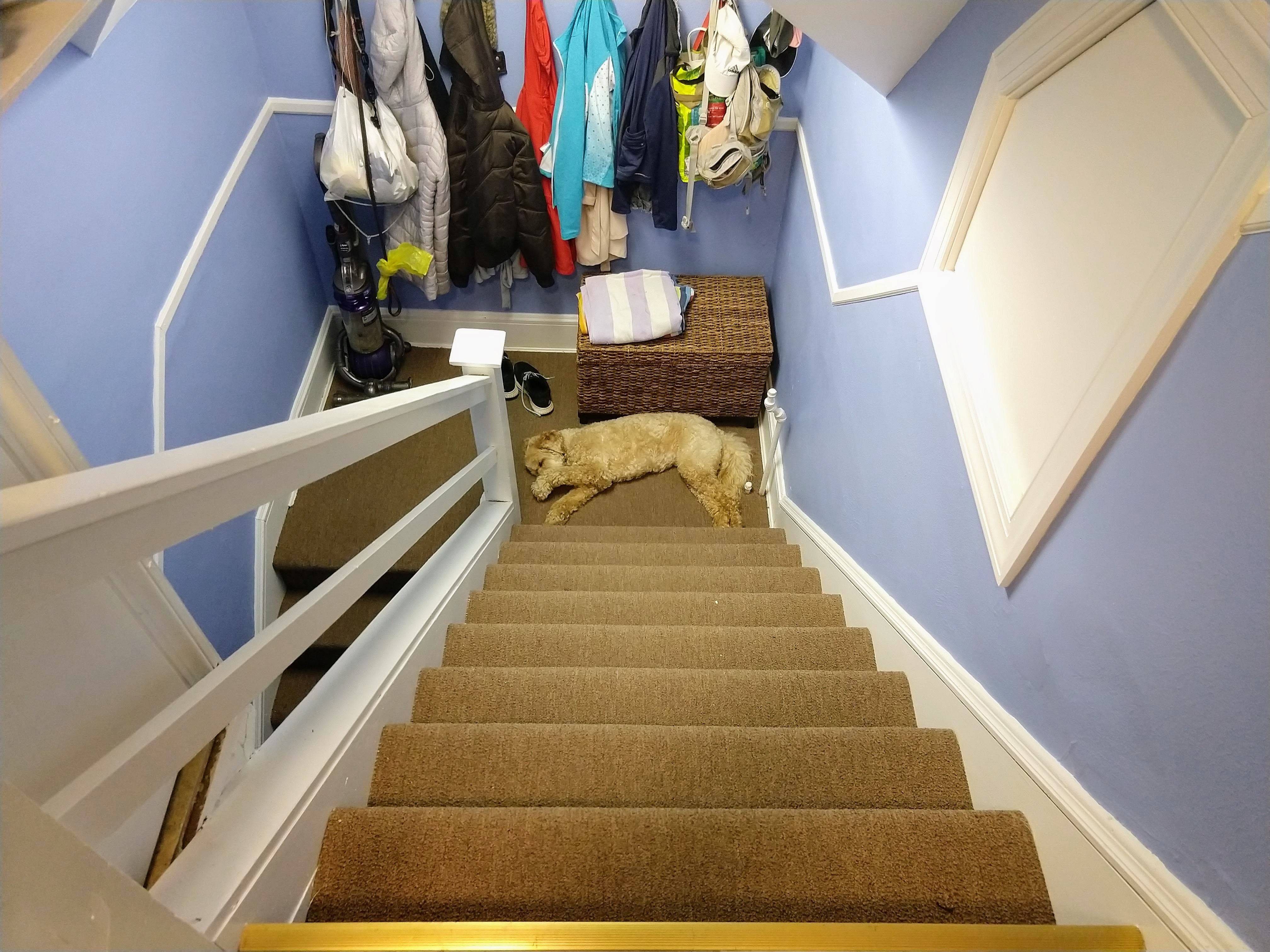 go-jules-go_uncle-jesse-tiny-living