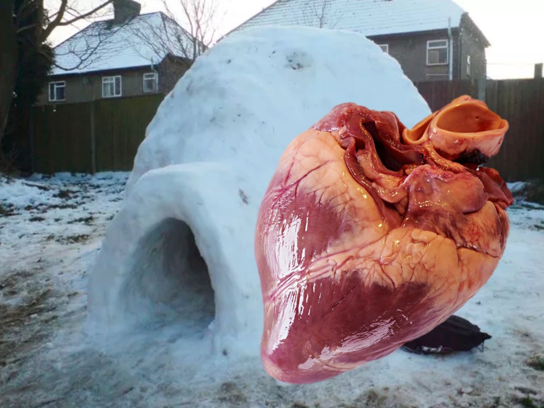 big-heart-igloo