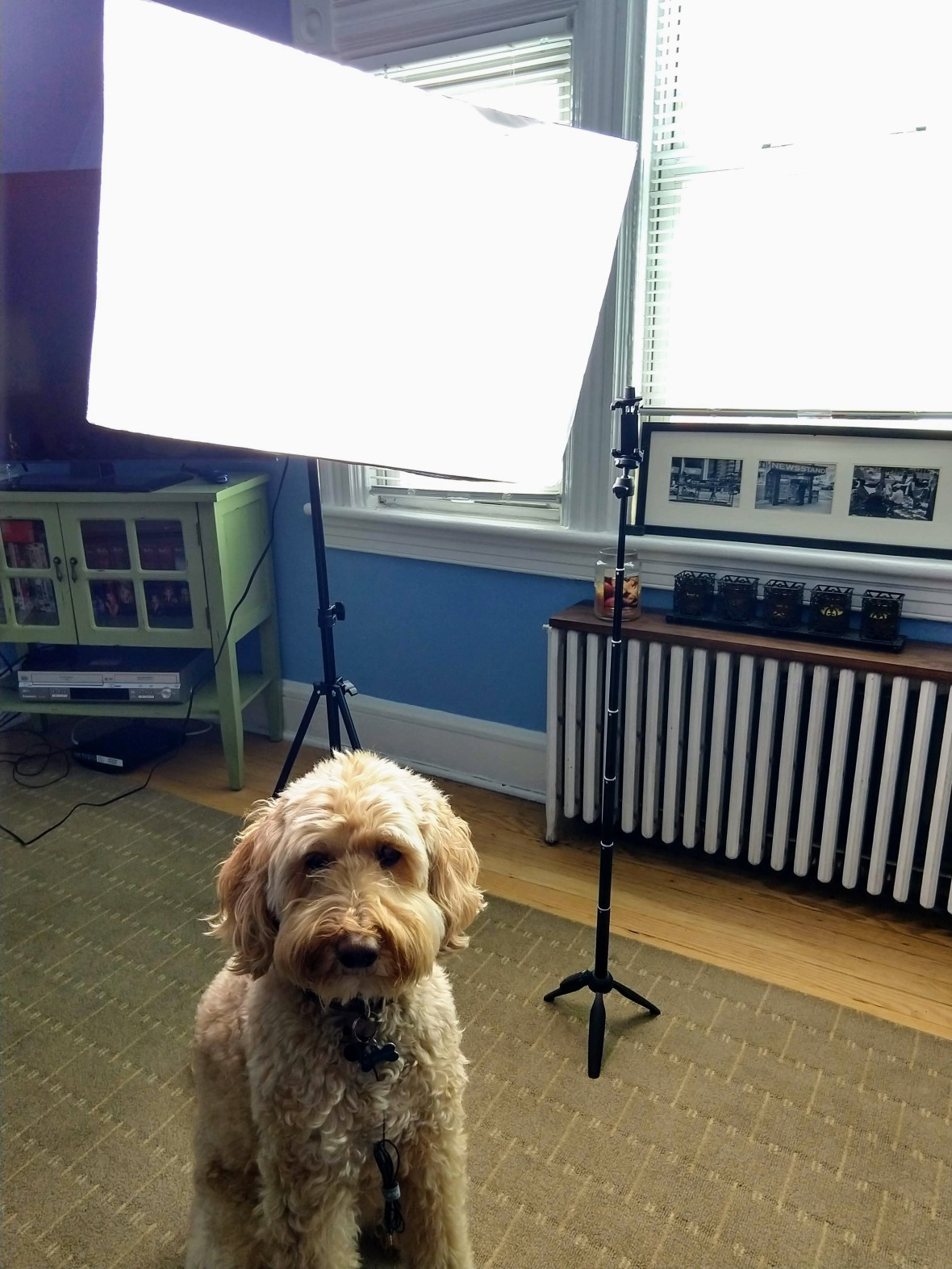 img_20190222_144010396_hdr