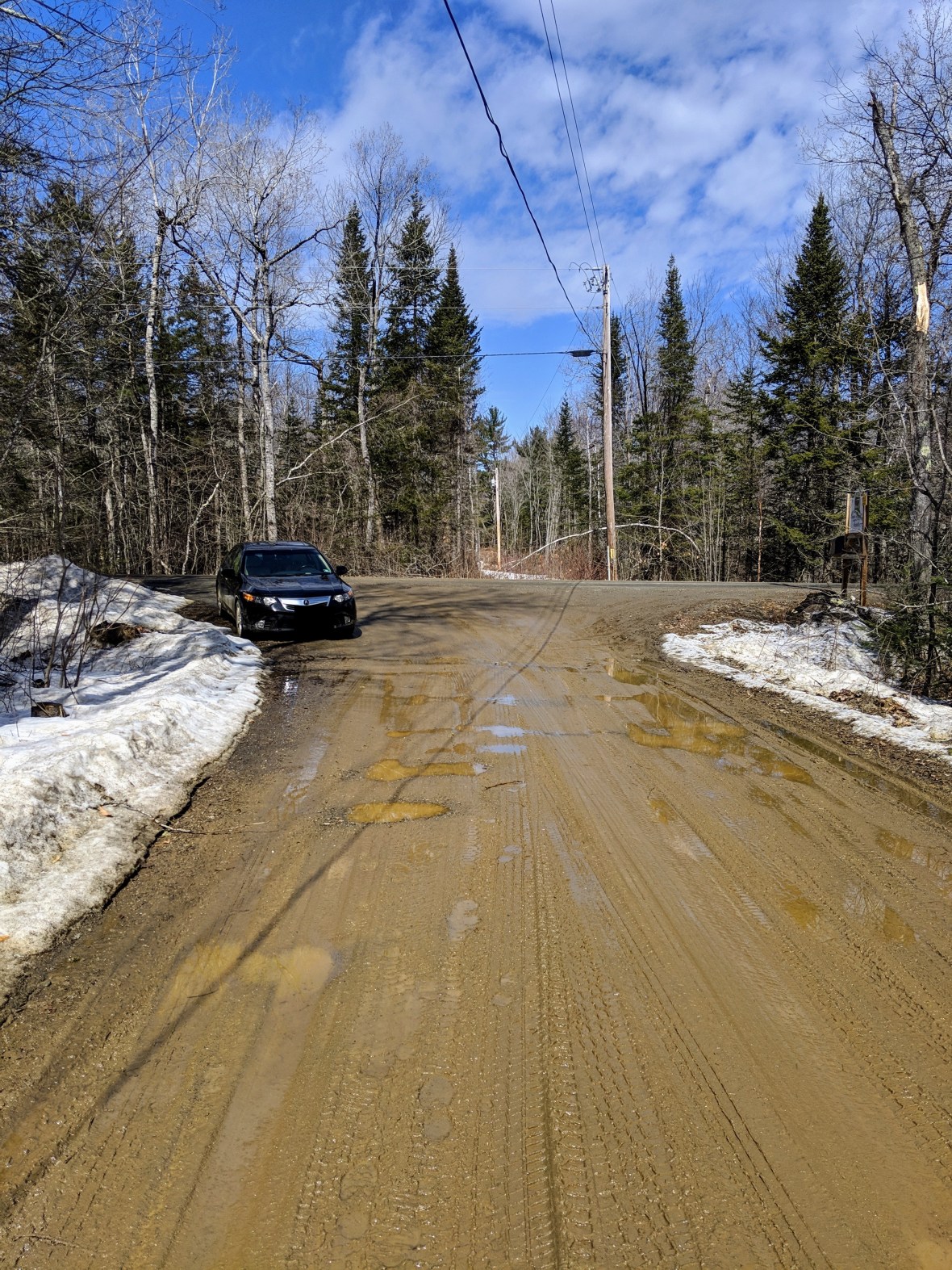 Farm Sanctuary driveway Go Jules Go