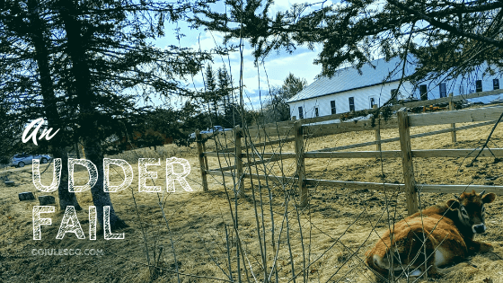 Go Jules Go An Udder Fail Title Graphic_9APR19