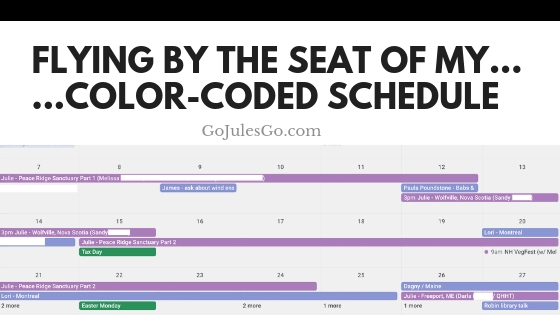 Go Jules Go Title Graphic_Flying by the seat of my color coded schedule_3APR19