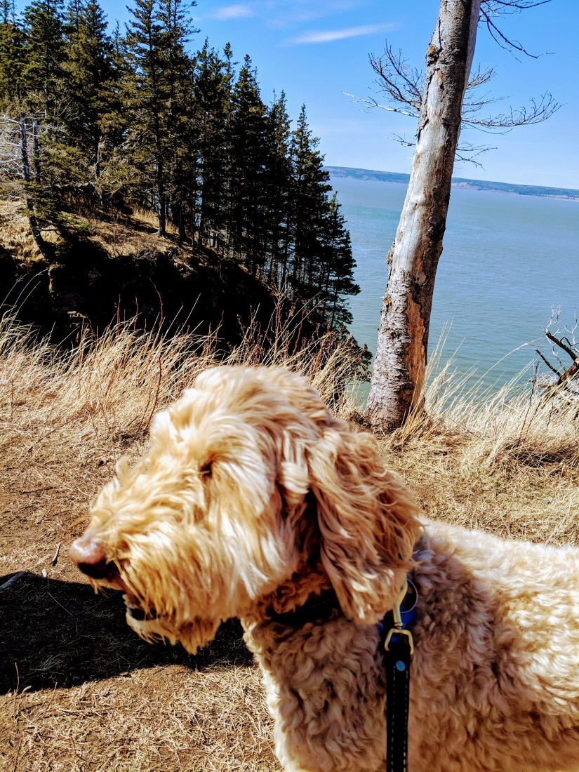 mvimg_20190414_145956