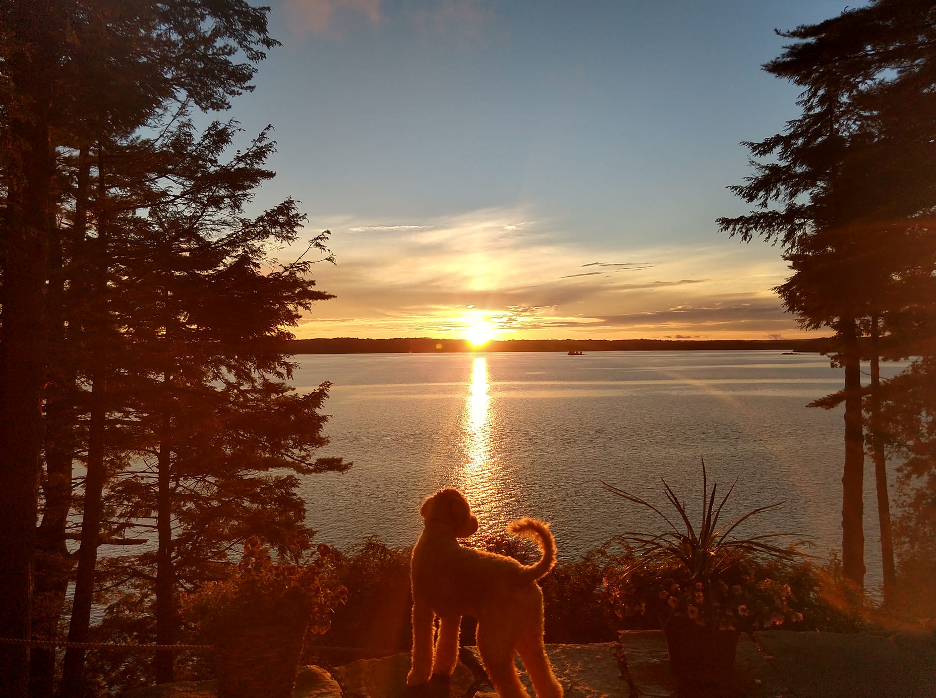 Uncle-Jesse-Maine-sunset