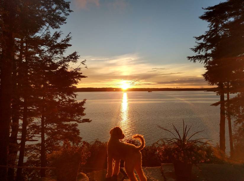 Uncle-Jesse-Maine-sunset