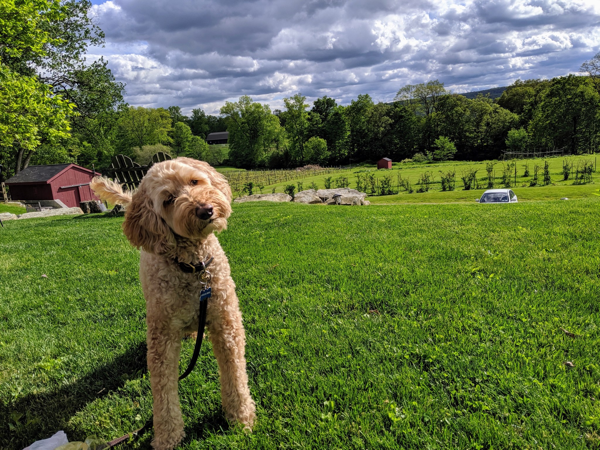 mvimg_20190524_163902