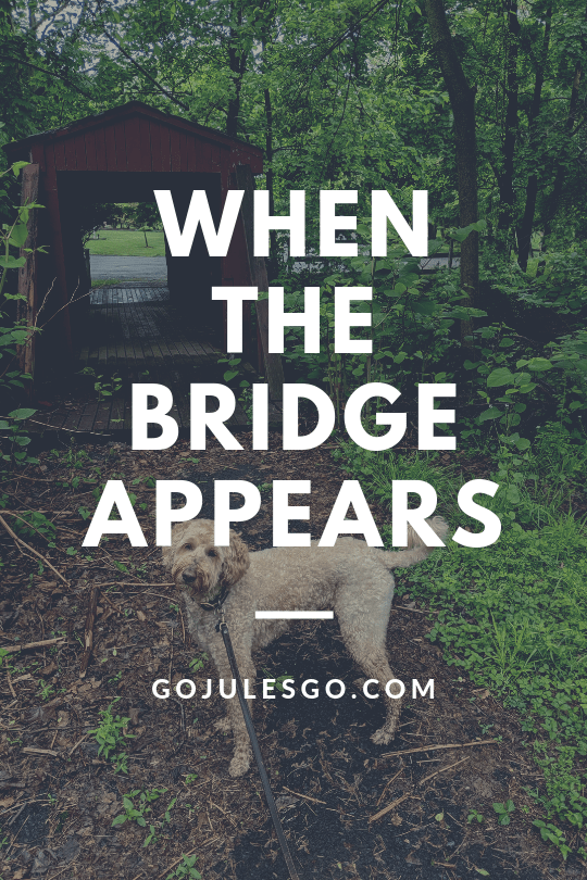 When the Bridge Appears Go Jules go title graphic_15MAY2019