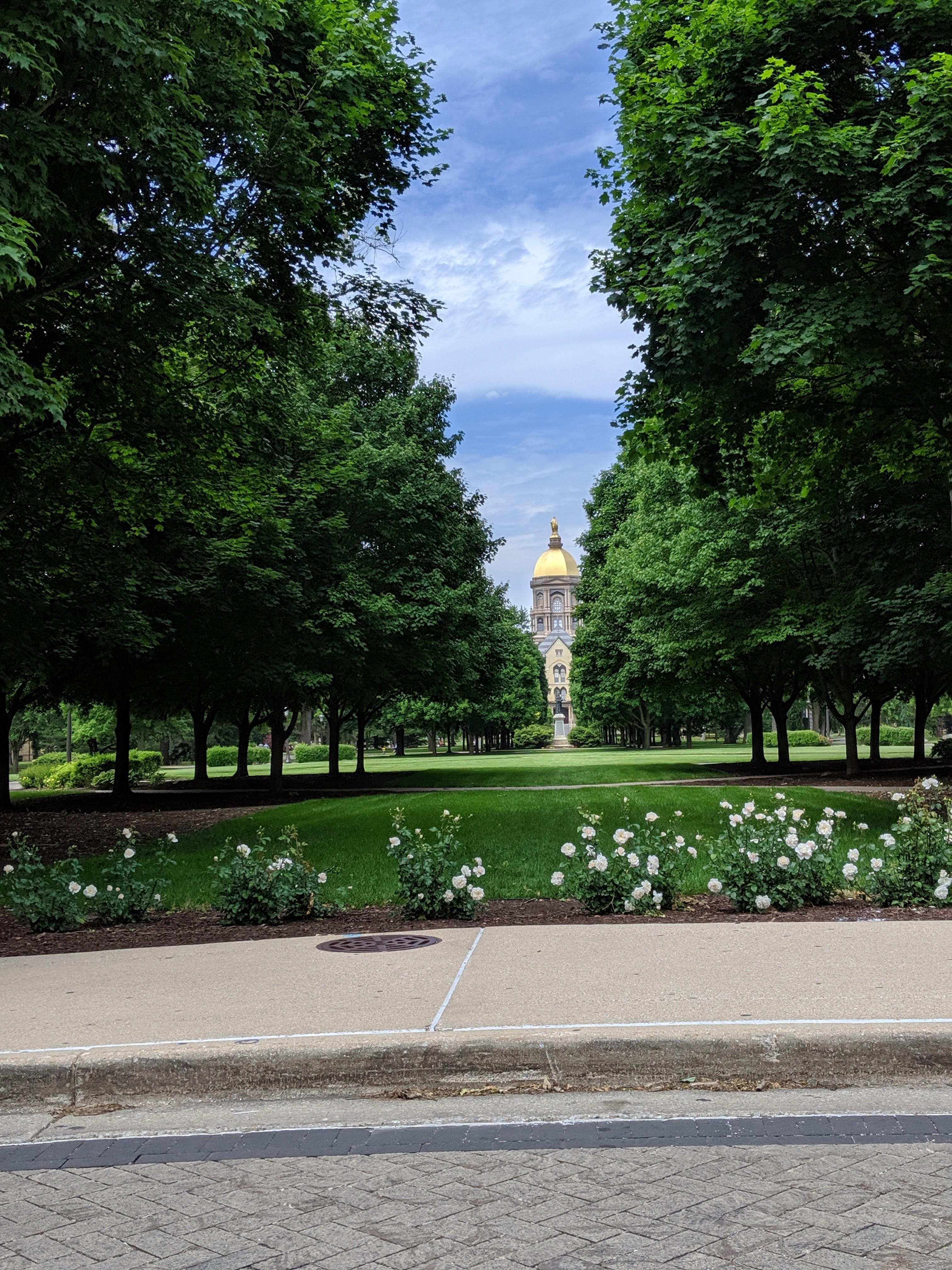 00000img_00000_burst20190608150400154_cover