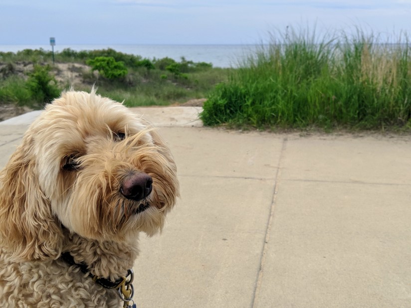 00000portrait_00000_burst20190608171035272