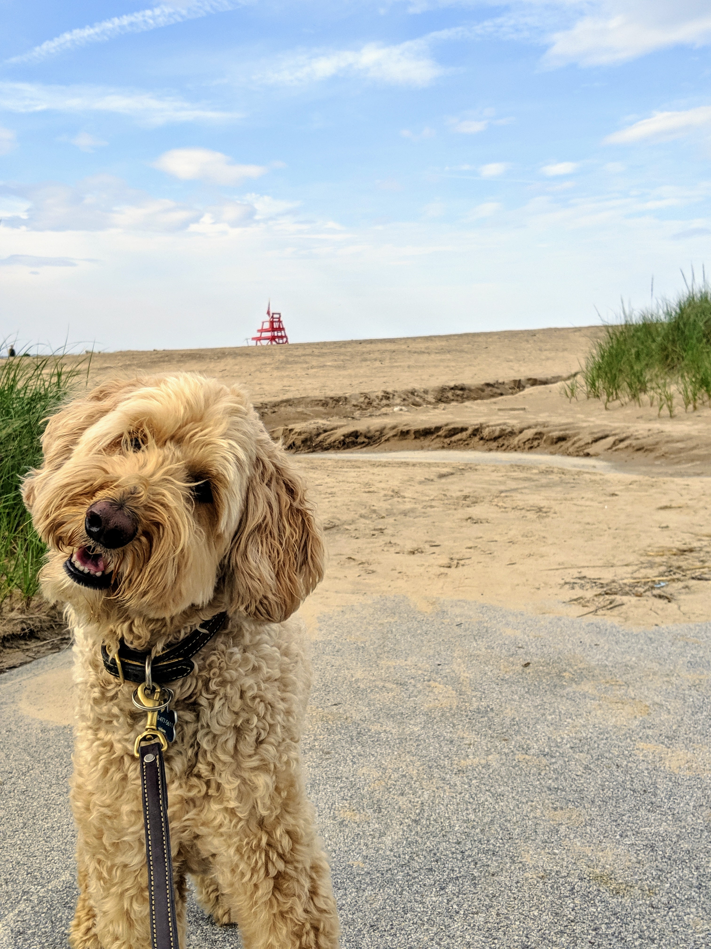 00000portrait_00000_burst20190608173043991