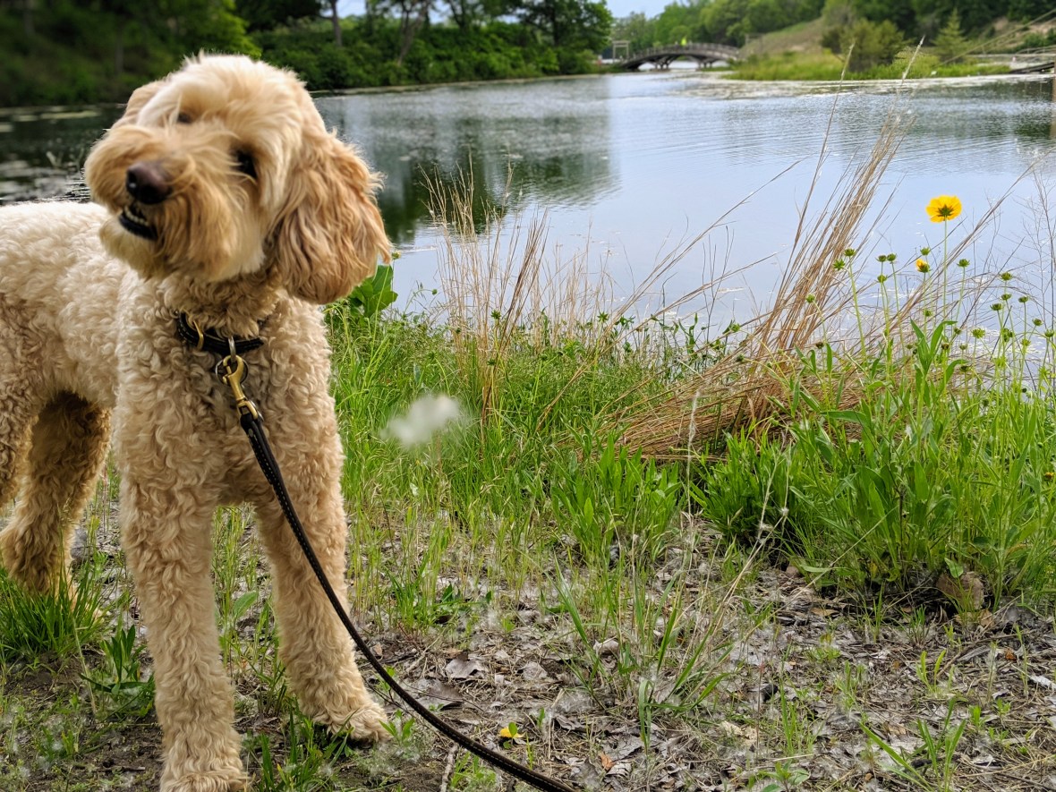 00100lportrait_00100_burst20190608182827968_cover