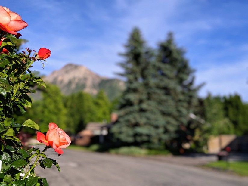 00100lportrait_00100_burst20190611184936560_cover