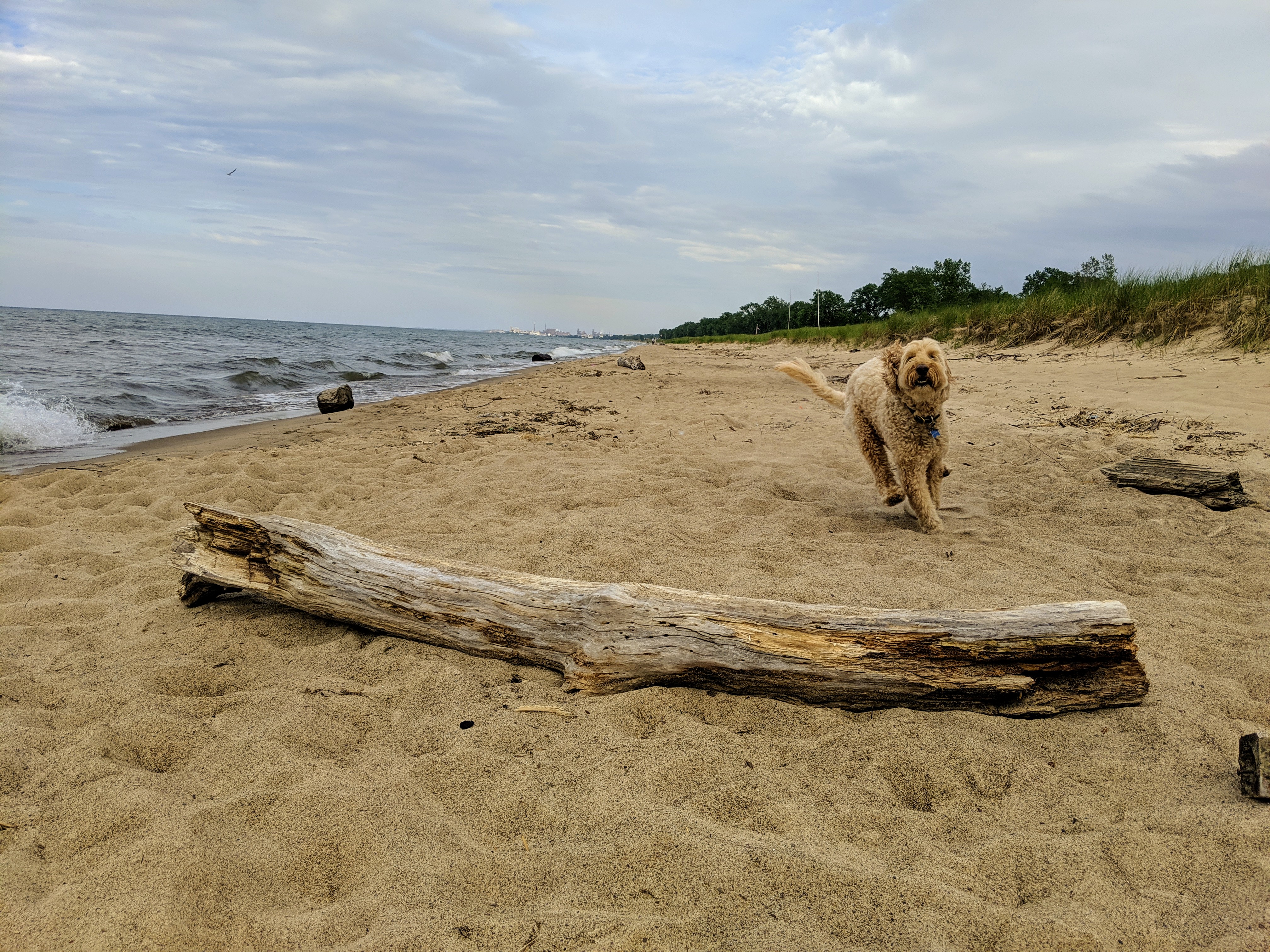 mvimg_20190608_180917_1