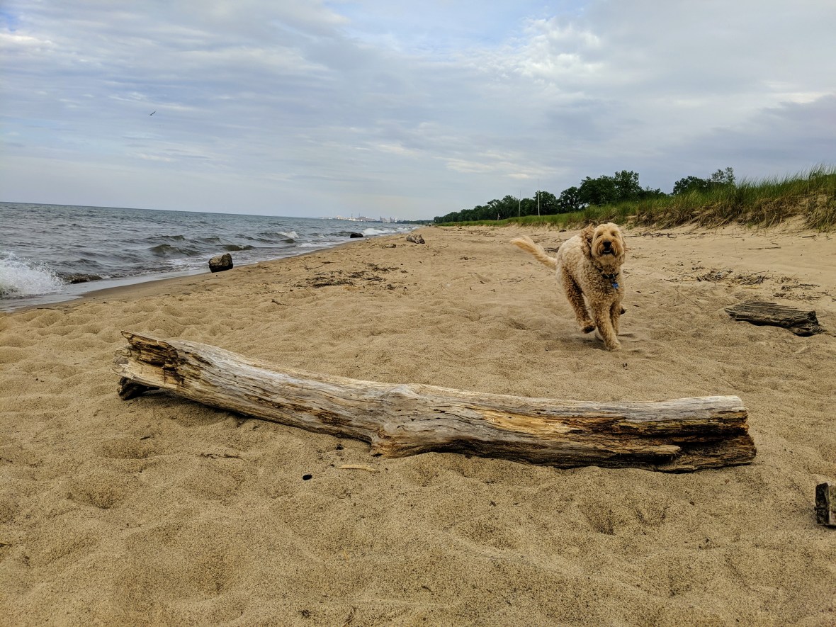 mvimg_20190608_180917_1