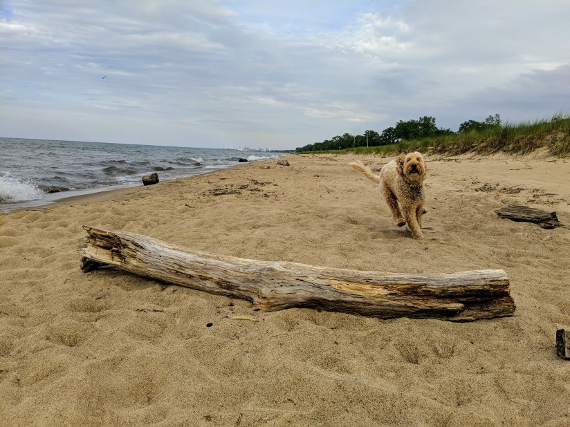 mvimg_20190608_180917_1