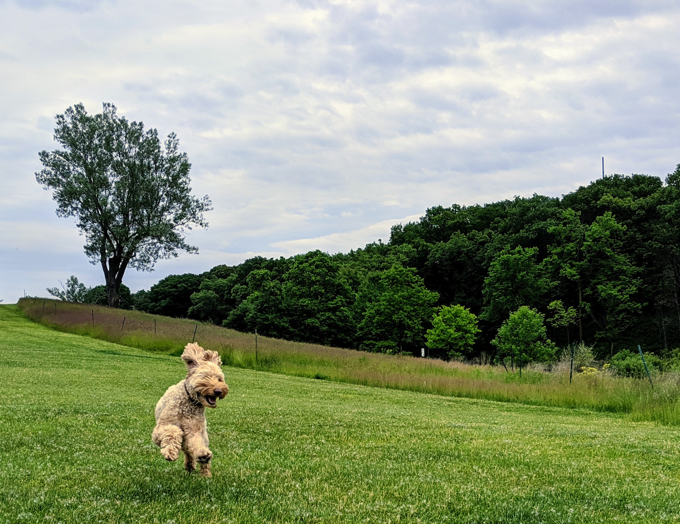 mvimg_20190608_184335