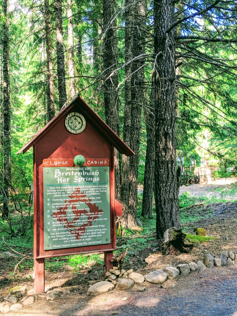 00000img_00000_burst20190623163507826_cover