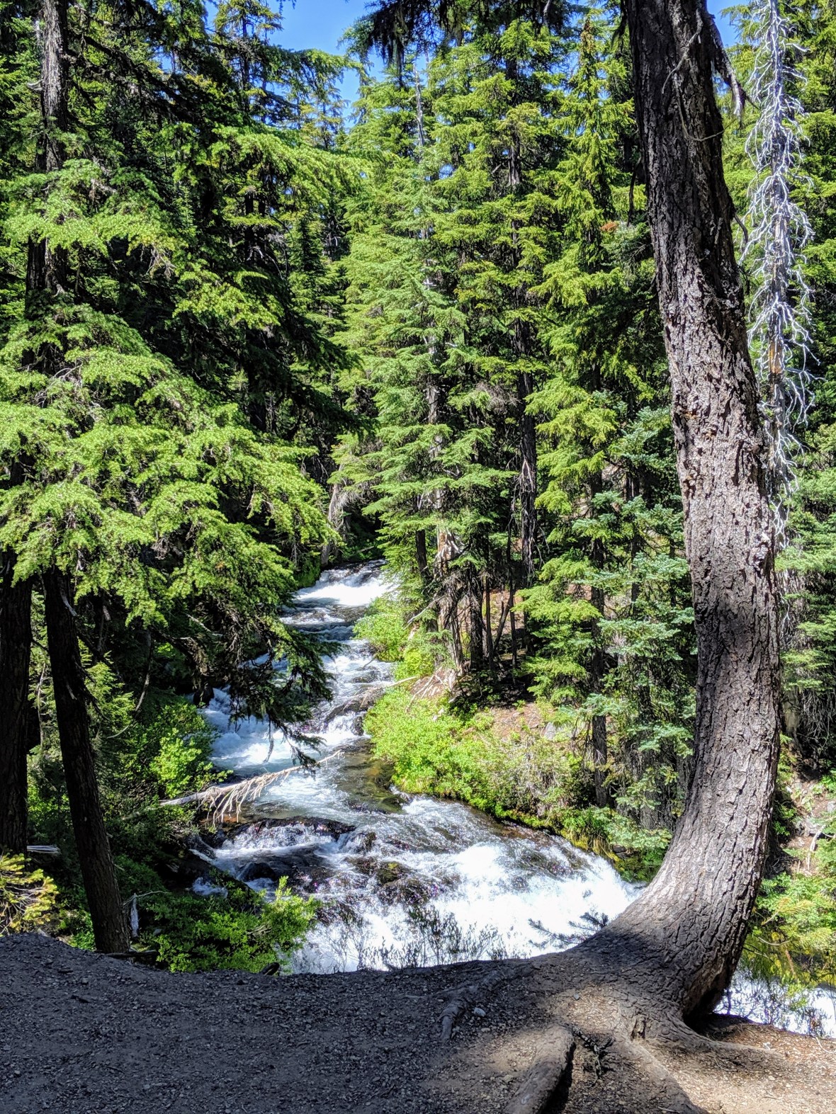 00000img_00000_burst20190708135519802_cover