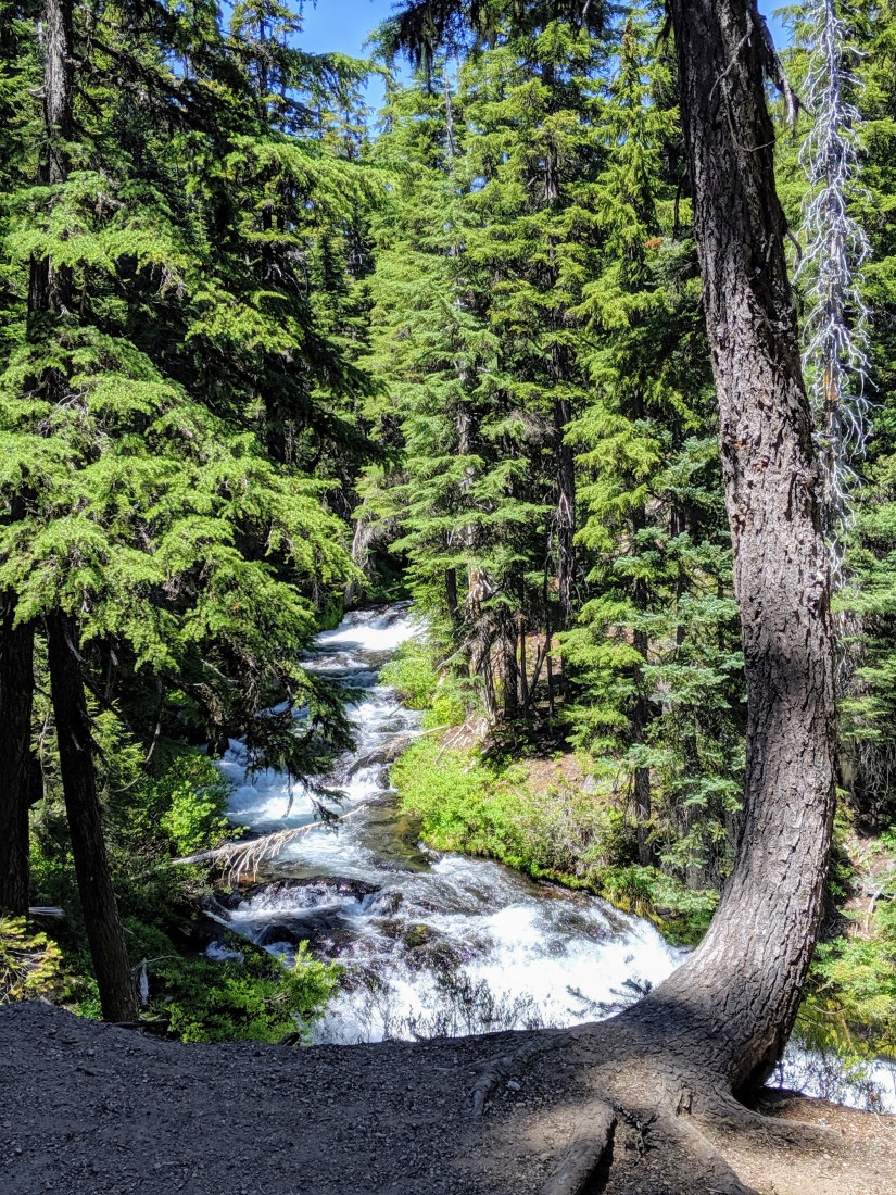 00000img_00000_burst20190708135519802_cover