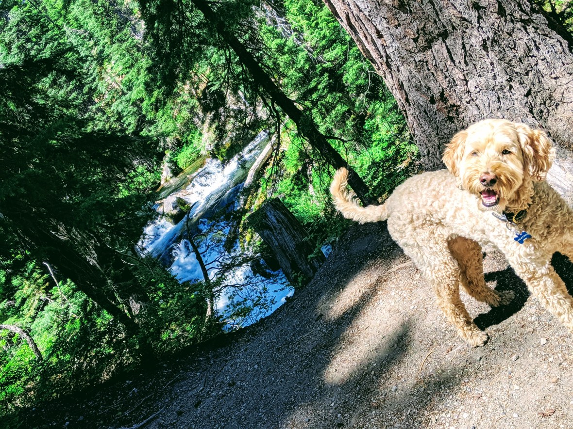 00000portrait_00000_burst20190708135418191