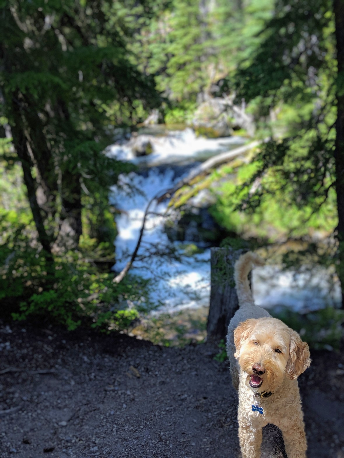 00100lportrait_00100_burst20190708135426932_cover