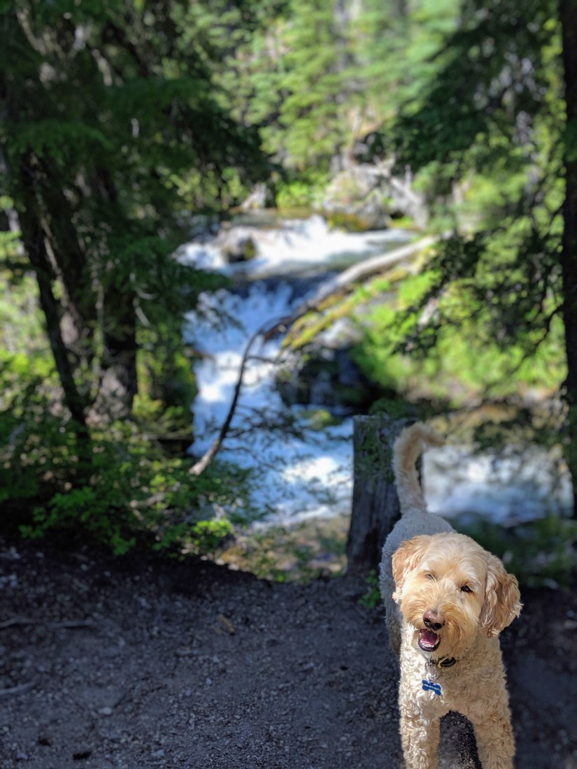 00100lportrait_00100_burst20190708135426932_cover