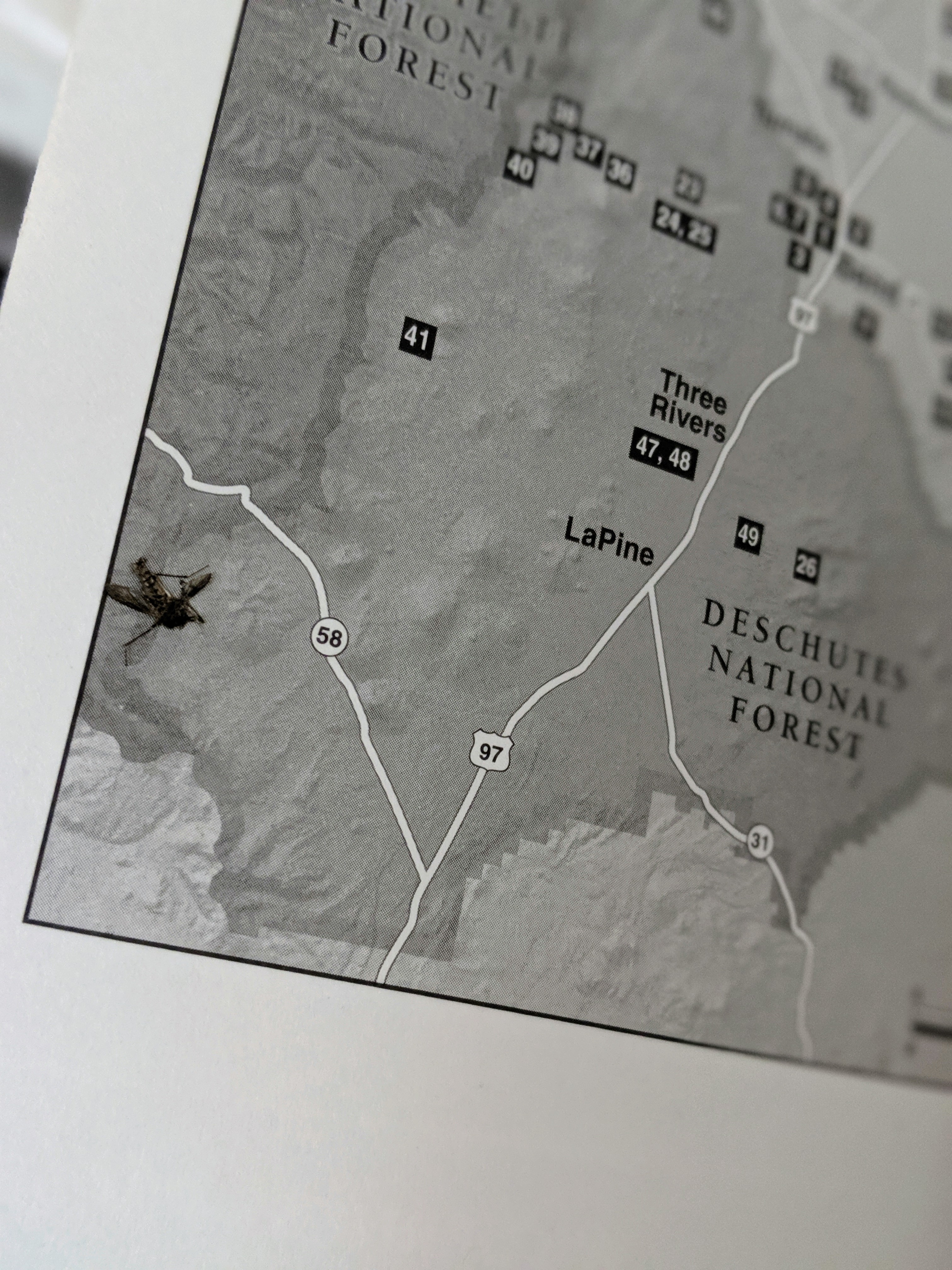 00100lportrait_00100_burst20190709101906160_cover