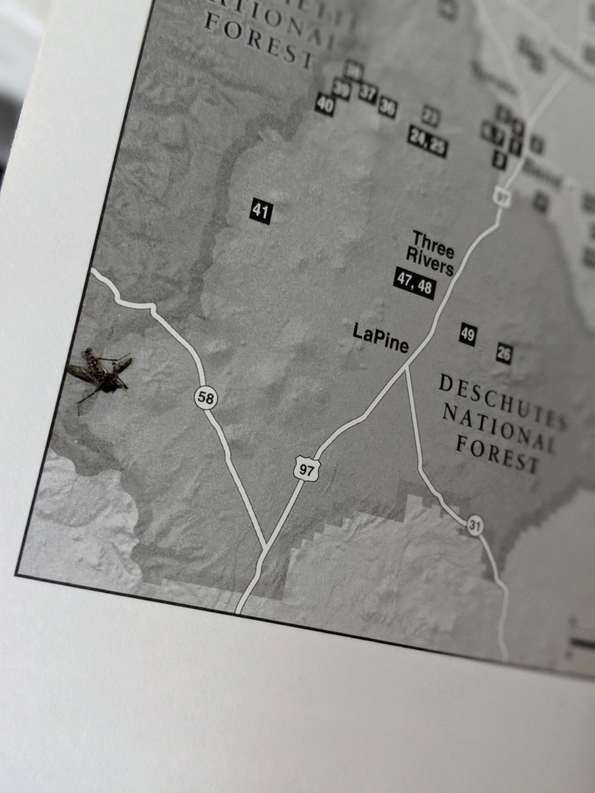 00100lportrait_00100_burst20190709101906160_cover