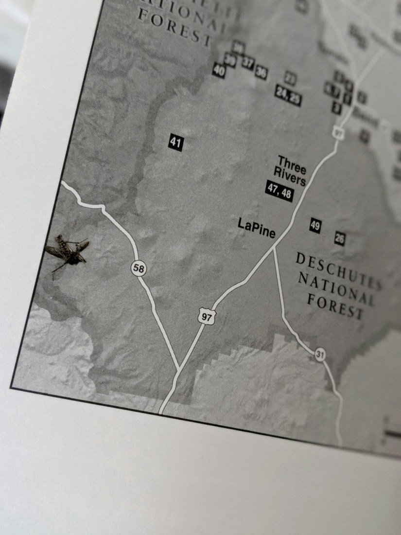 00100lportrait_00100_burst20190709101906160_cover