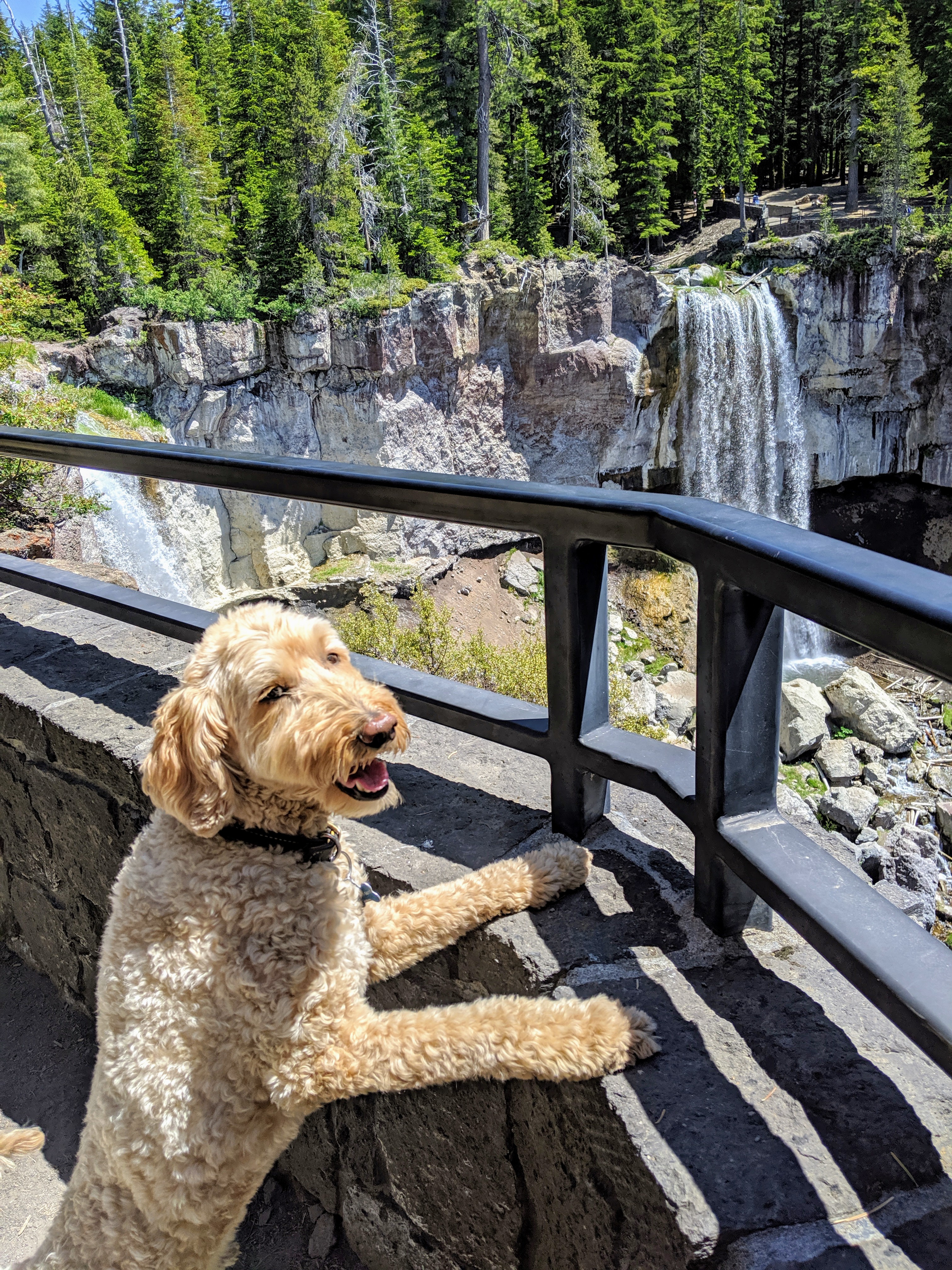 img_20190707_135103-1