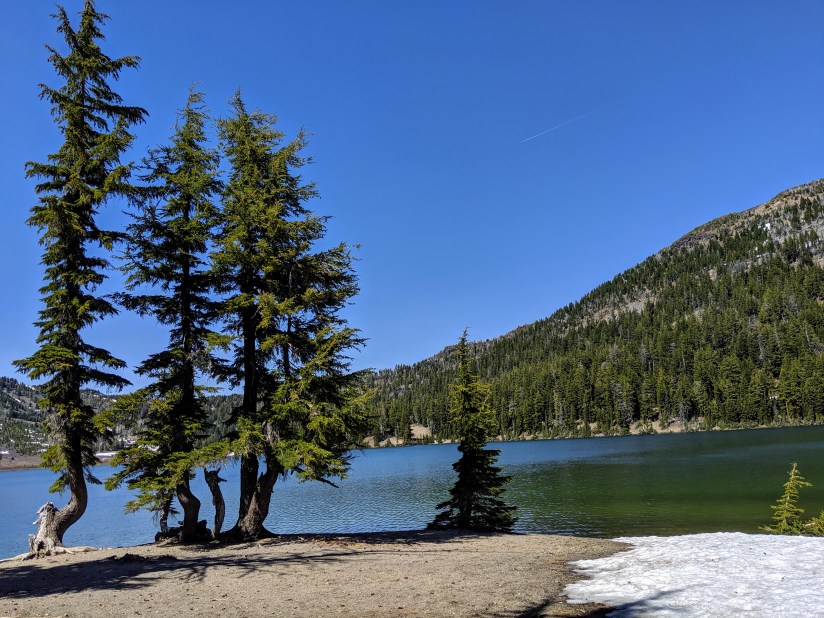 img_20190708_154433-1