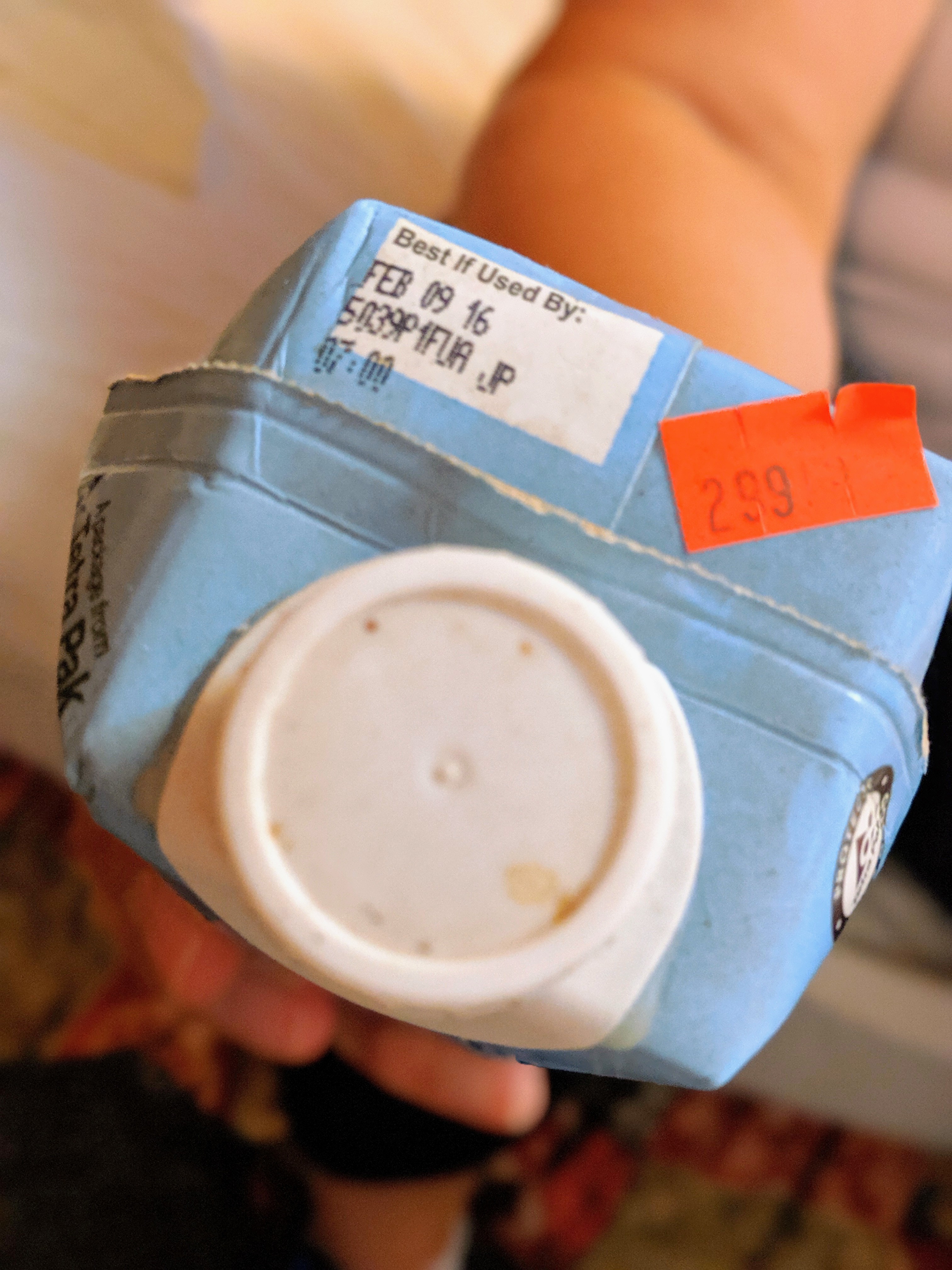 00100lportrait_00100_burst20190827103142062_cover