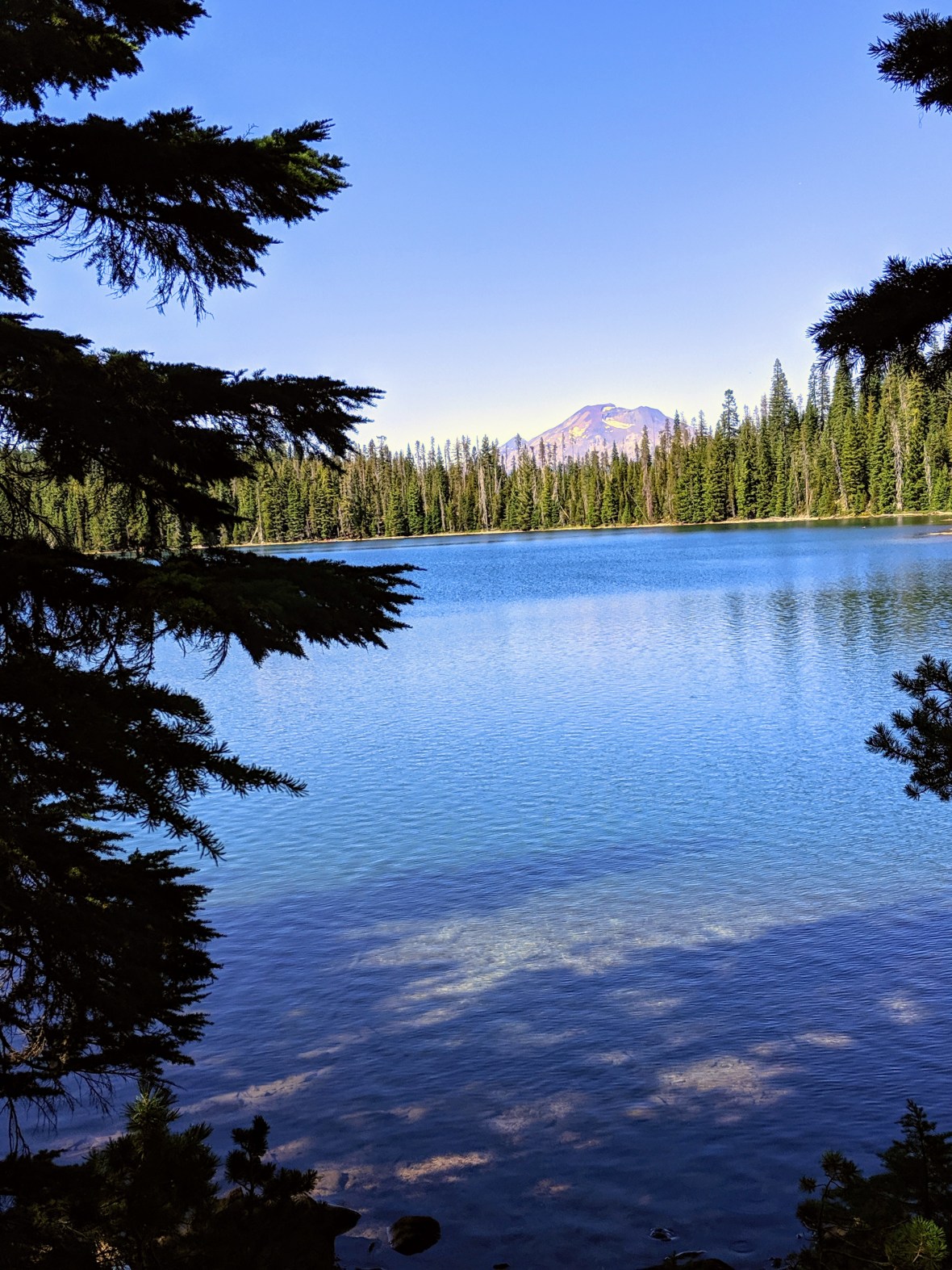 00000img_00000_burst20190831153325437_cover