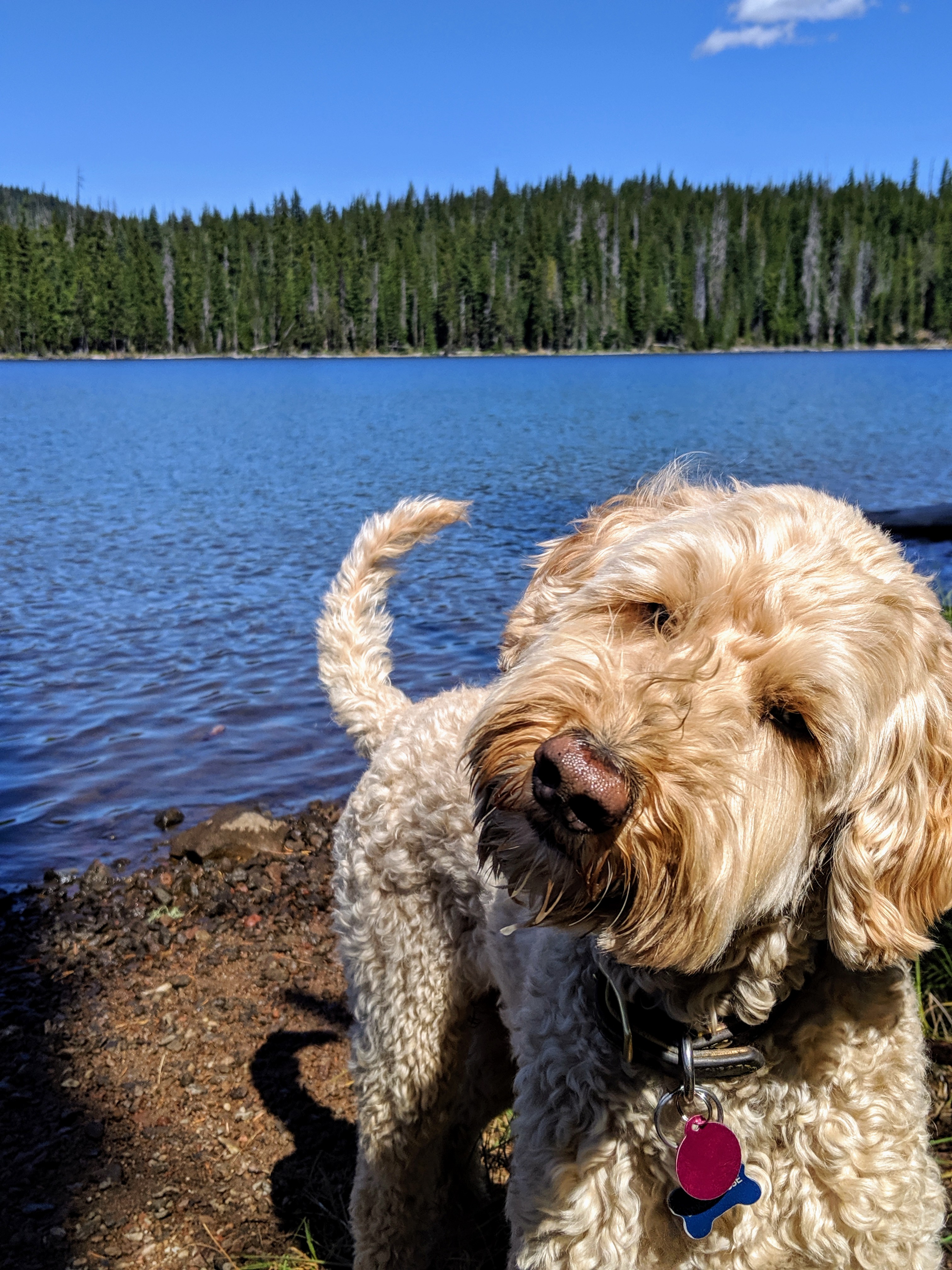 00000portrait_00000_burst20190902115912290