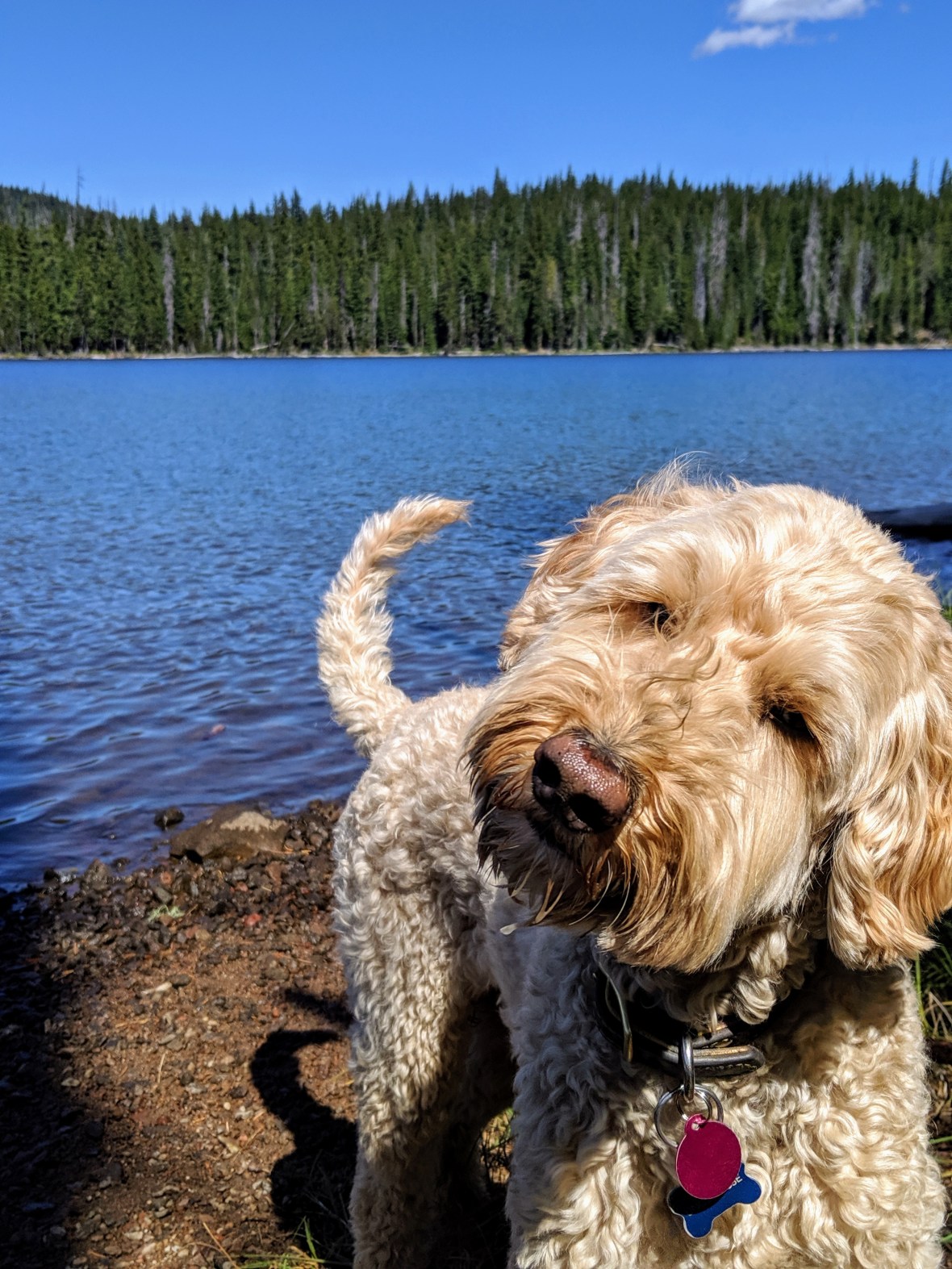 00000portrait_00000_burst20190902115912290