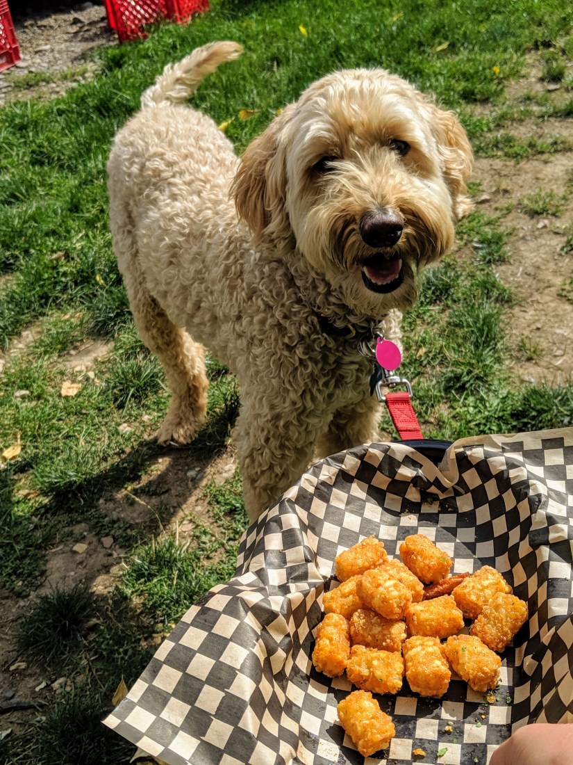 00000portrait_00000_burst20190915134501705