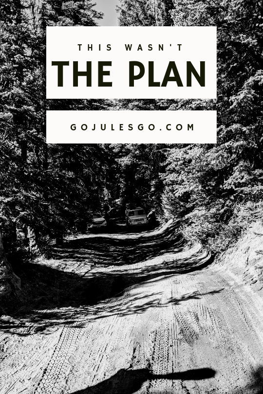 Go Jules Go Title Graphic This Wasnt the Plan_4SEP2019