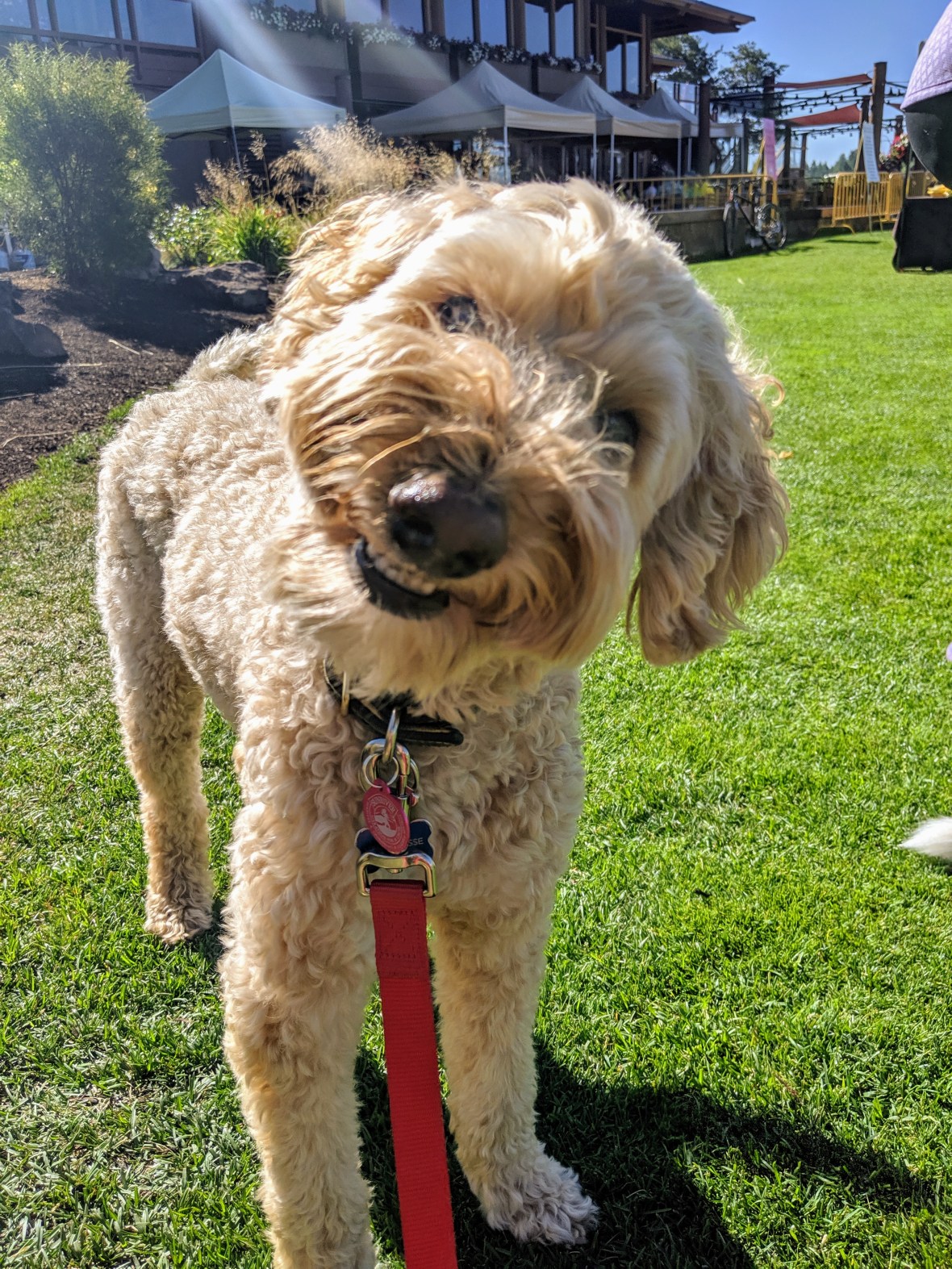 mvimg_20190831_102846_1