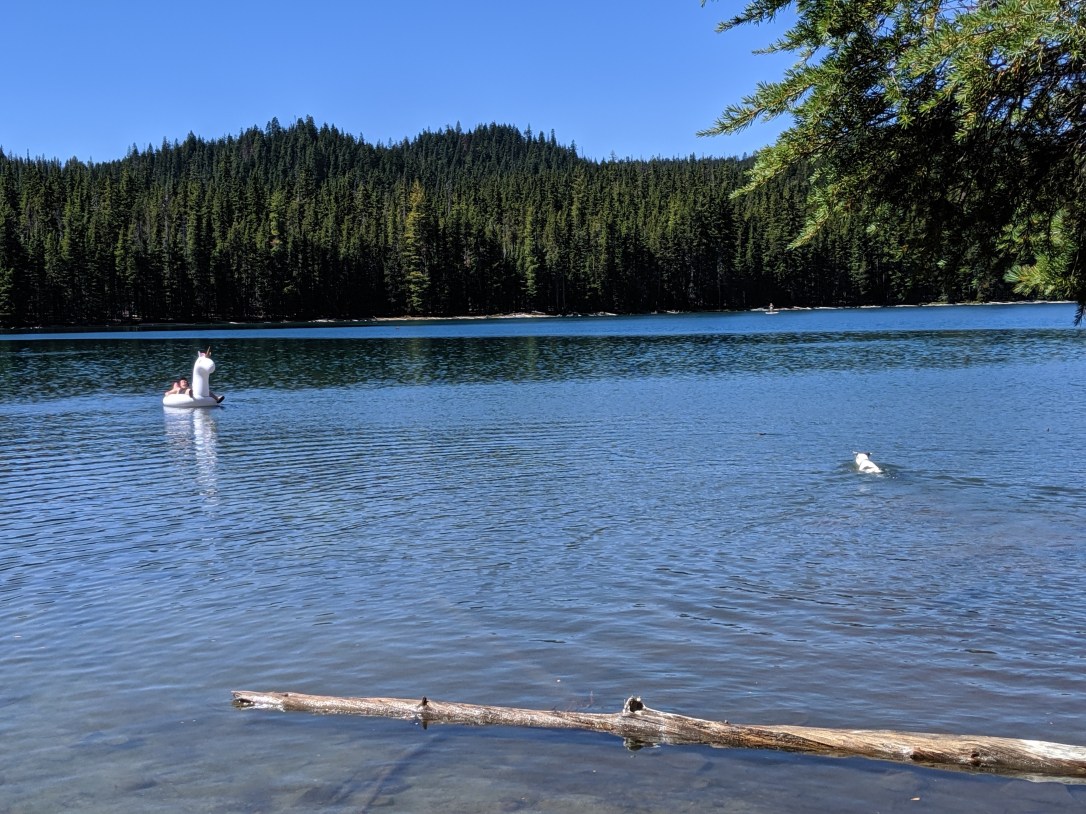 mvimg_20190831_134346